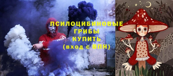 стафф Алзамай