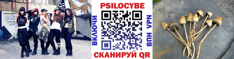 Купить  Верхняя Салда  Галлюциногенные грибы мухоморы 